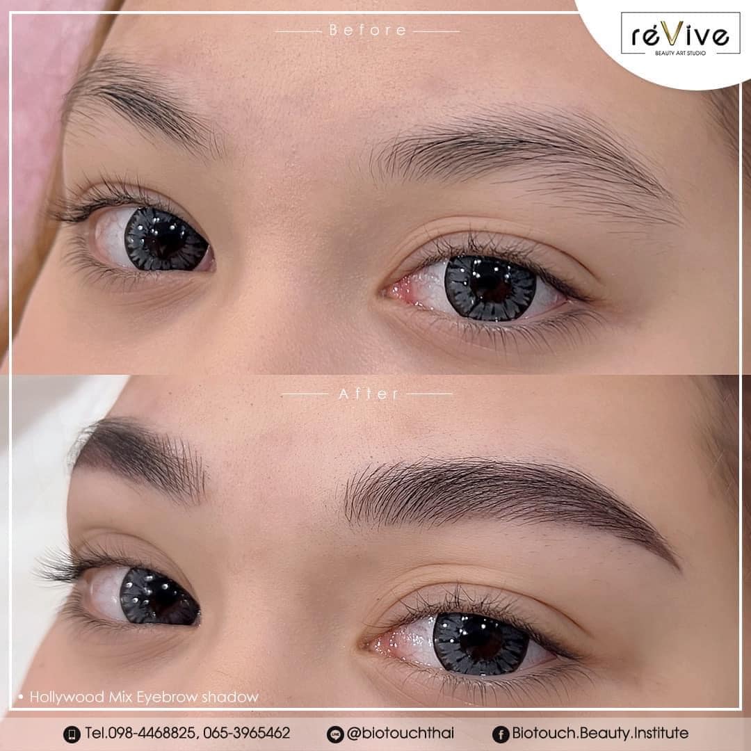 Hollywood Mix Eyebrow Shadow จากร้าน RéVive